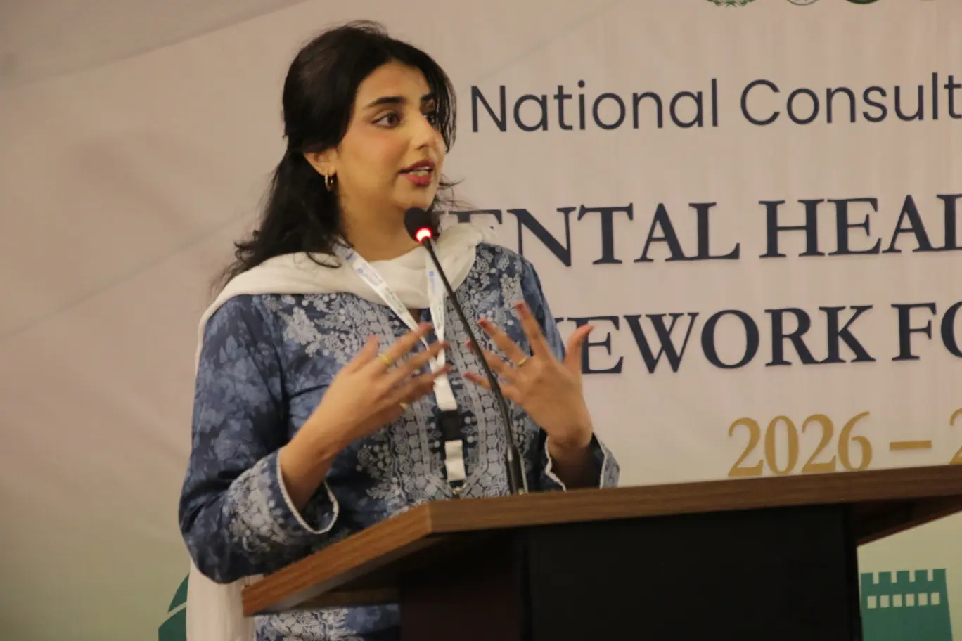 National Consultation on the National Mental Health Policy, photo 2 of 15